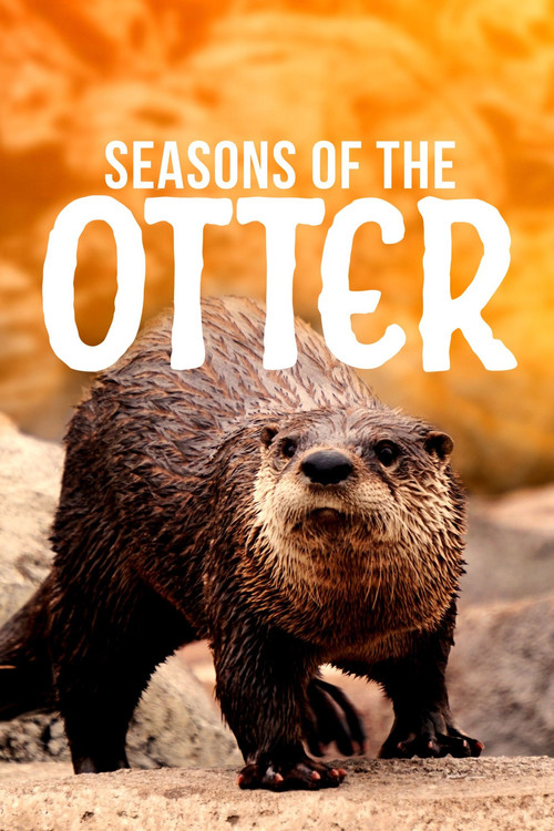 Seasons of the Otter poster