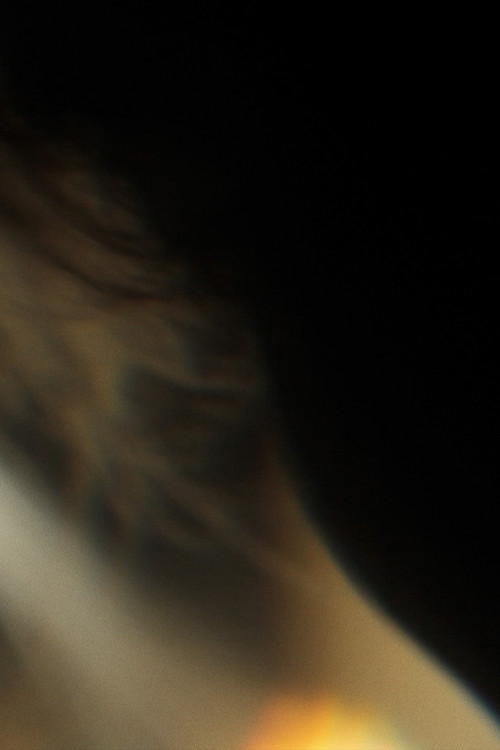 Revenants on Trial poster