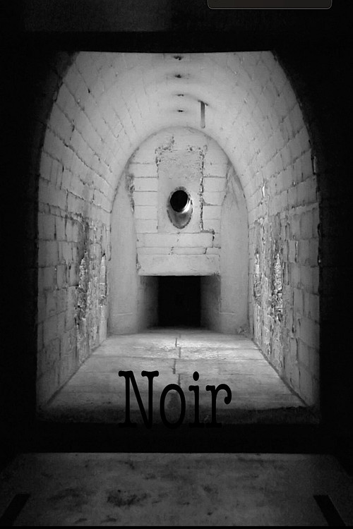 Noir poster