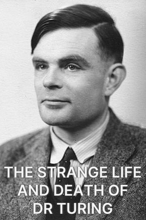 The Strange Life and Death of Dr Turing poster