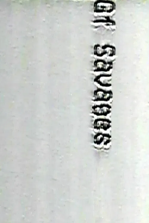 The New McLennium Program Two poster