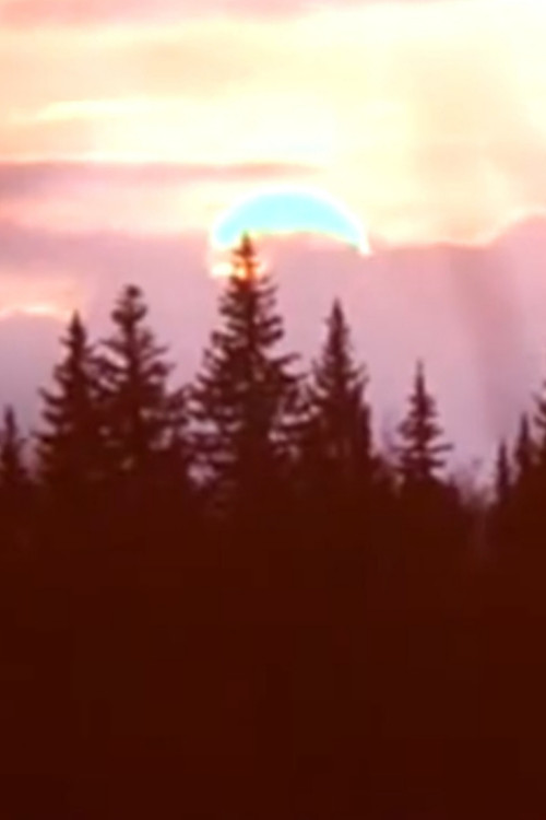 Spring film observations poster