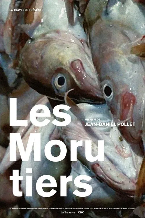 Les Morutiers poster