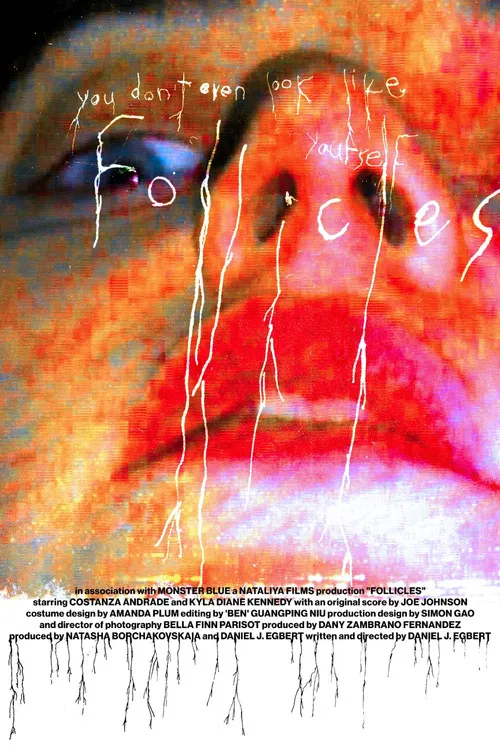 FOLLICLES poster