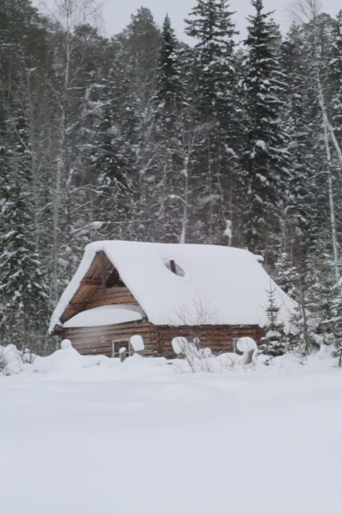 Ivan's Ladder poster