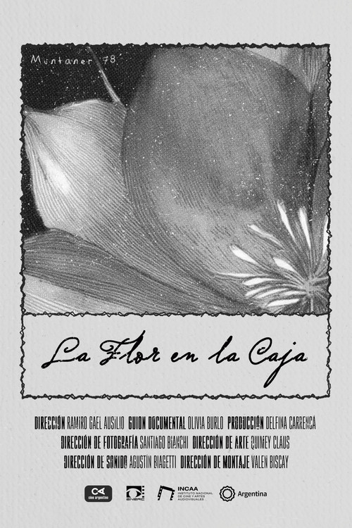 The Flower in the Box poster