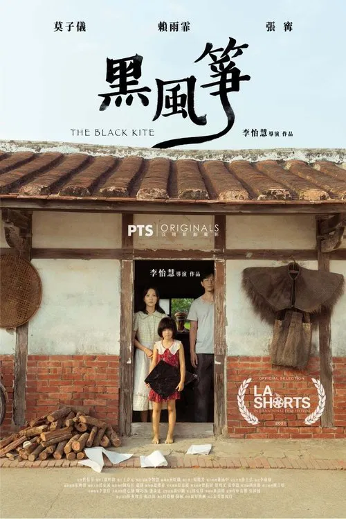 The Black Kite poster