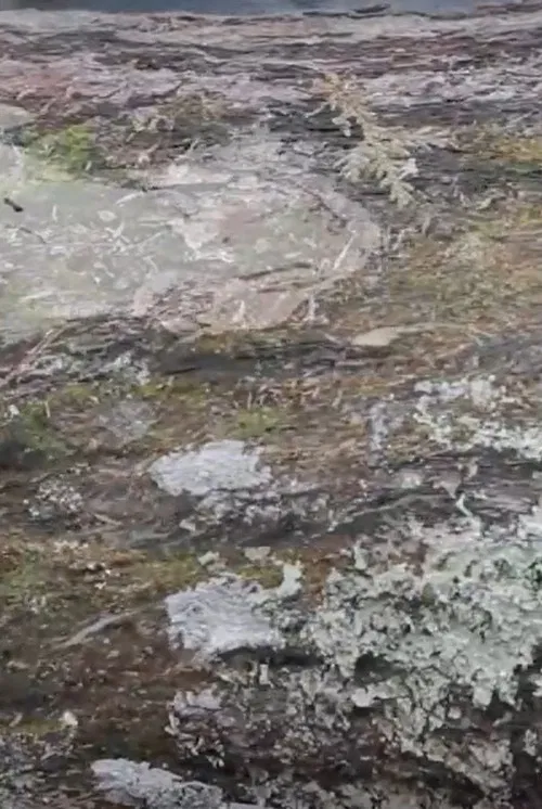 Espace Mouvant poster