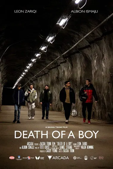 Death of a Boy poster