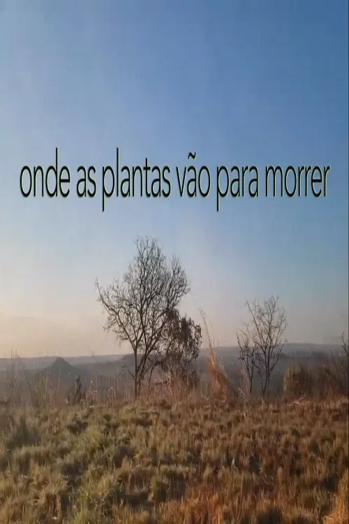 Onde As Plantas Vão Para Morrer poster