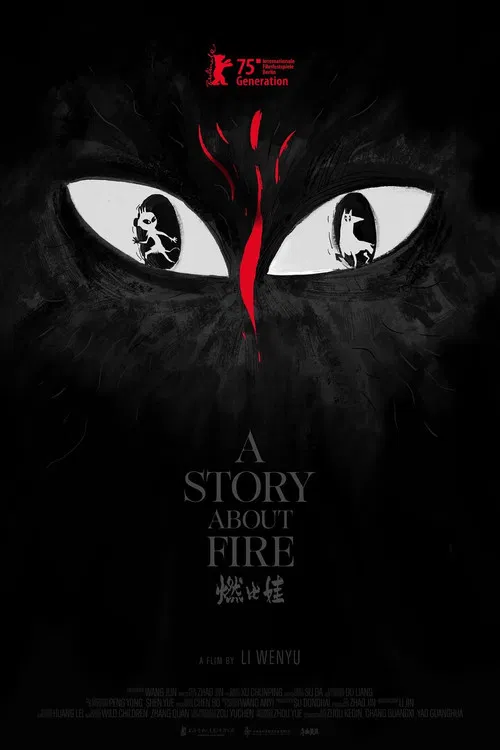 A Story About Fire poster