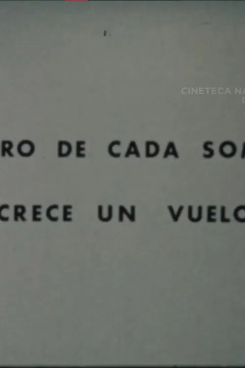 Dentro de Cada Sombra Crece un Vuelo poster