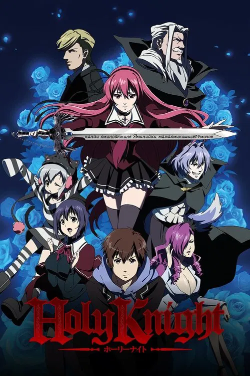 Holy Knight poster