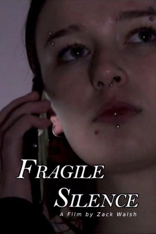 Fragile Silence poster