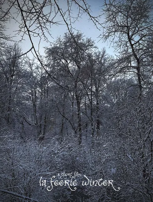 La Féerie Winter poster