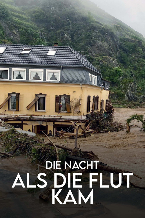 Die Nacht, als die Flut kam - Protokoll einer Klimakatastrophe poster