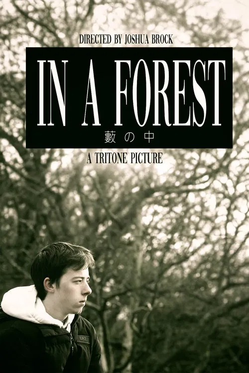 In a Forest poster