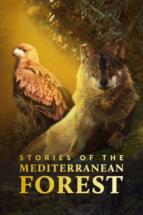 Stories of the Mediterranean Forest poster
