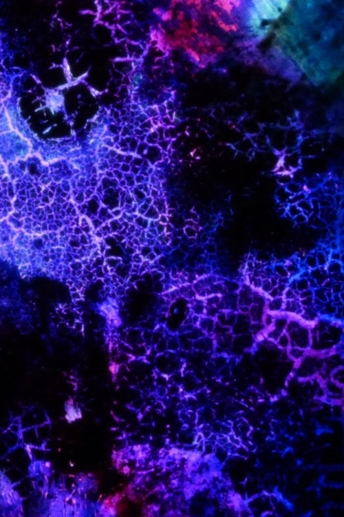 Elementary Phrases poster