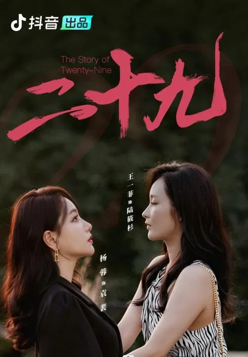 The Story of Twenty-Nine poster