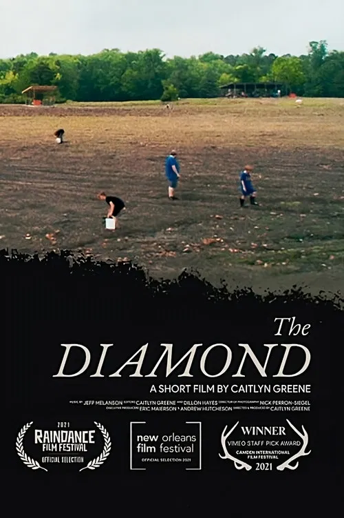 The Diamond poster