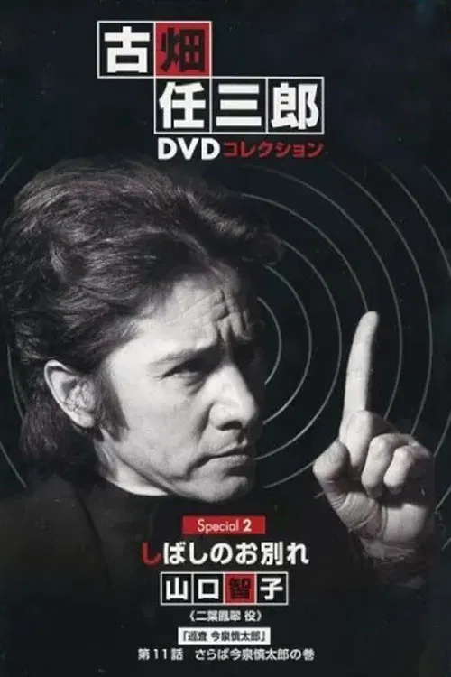 A Brief Parting poster