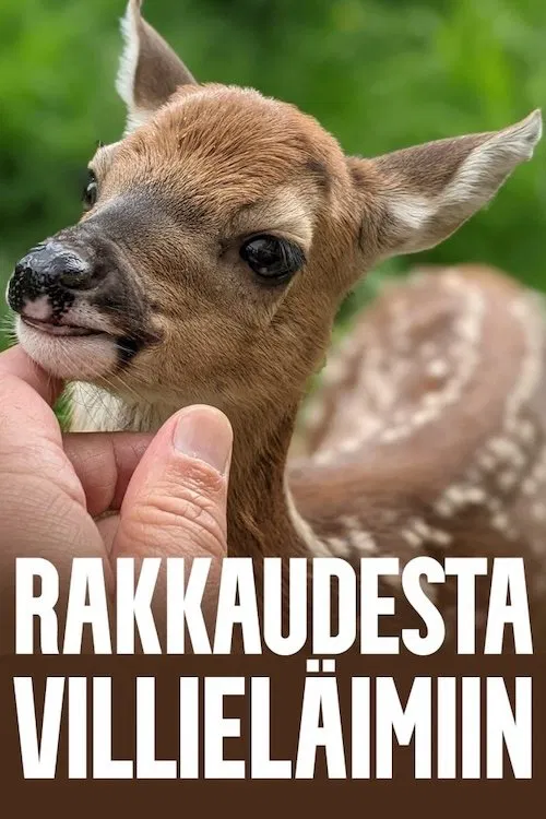 Rakkaudesta villieläimiin poster