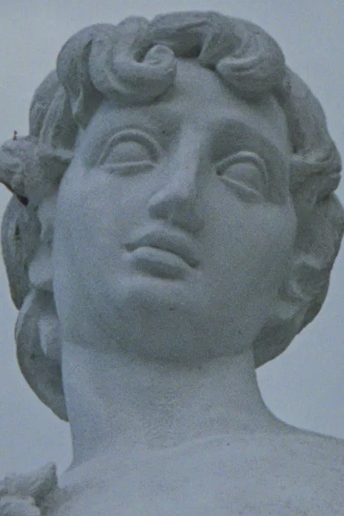 Remapping the Origins poster