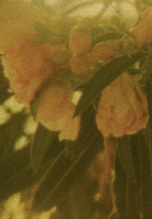 Seasons/Patterns poster