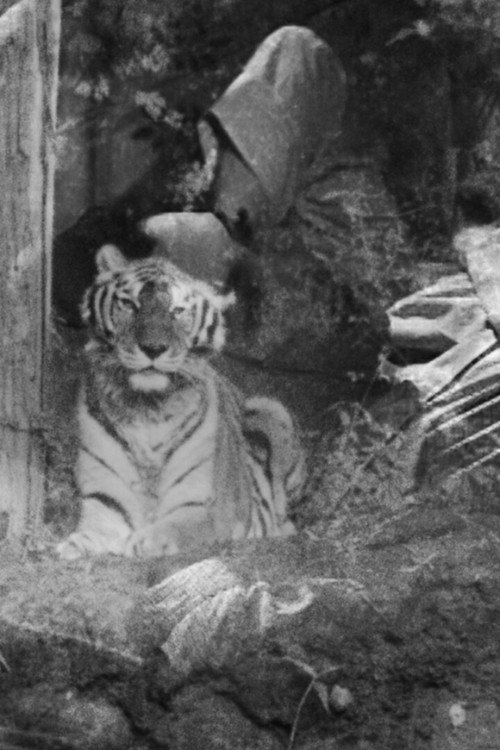 The Horrible Thirty: Me, My Father and Richard the Tiger poster