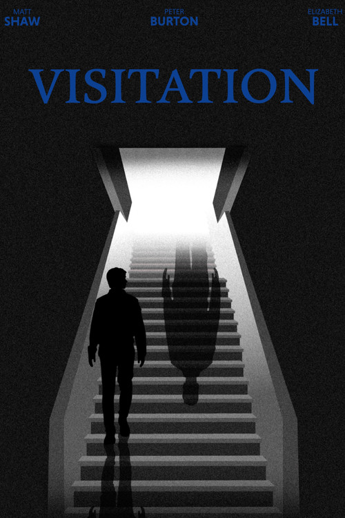 Visitation poster