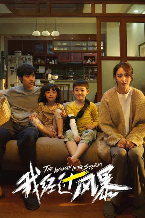 The Woman in the Storm poster