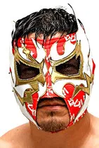 Tokimitsu Ishizawa profile