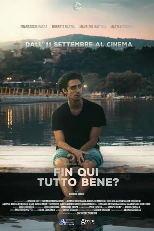 Fin qui tutto bene? poster