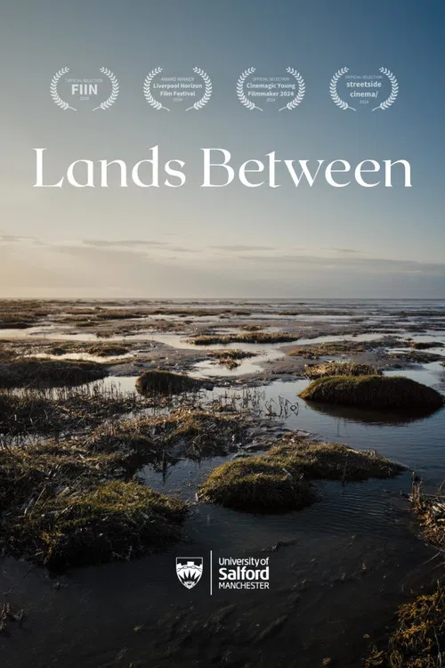 Lands Between poster