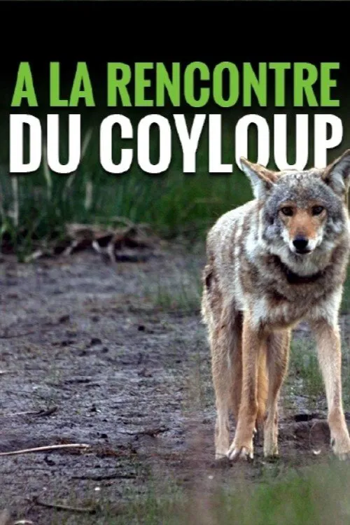 A la rencontre du coyloup poster