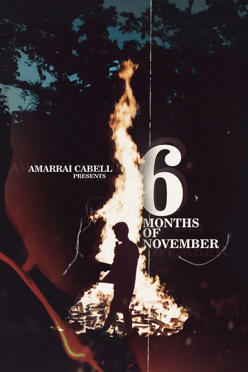 6 Months of November poster