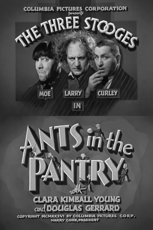 Ants in the Pantry poster