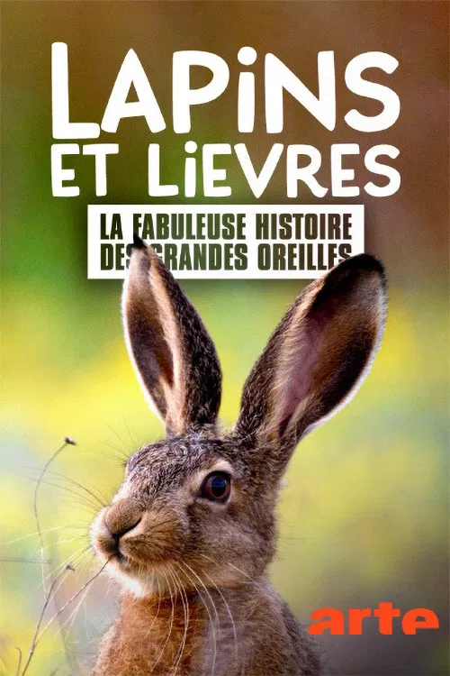 Lapins et lièvres - La Fabuleuse histoire des grandes oreilles poster