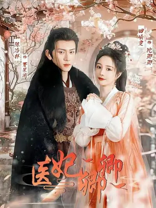 医妃卿卿 poster