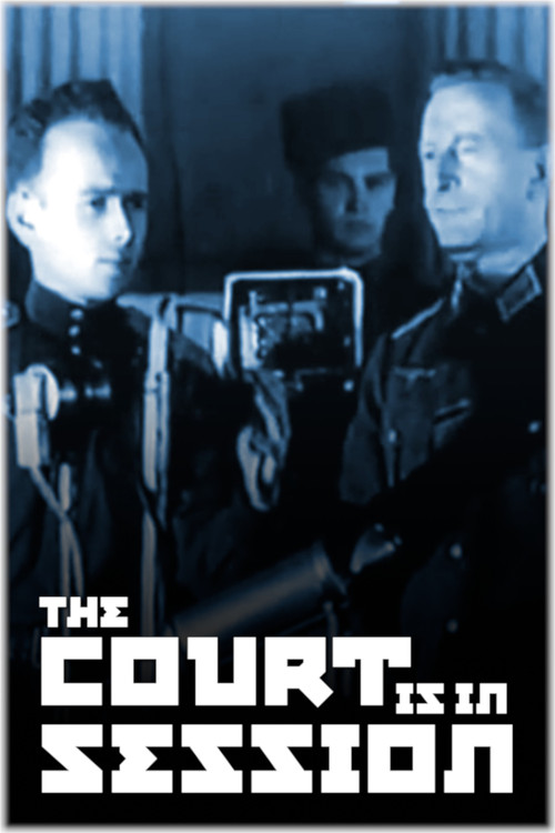 The Court Is in Session poster