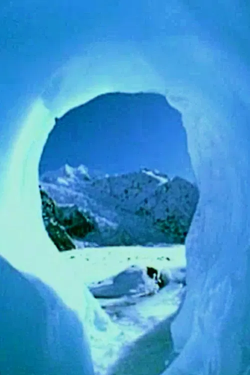 The Water Cycle poster