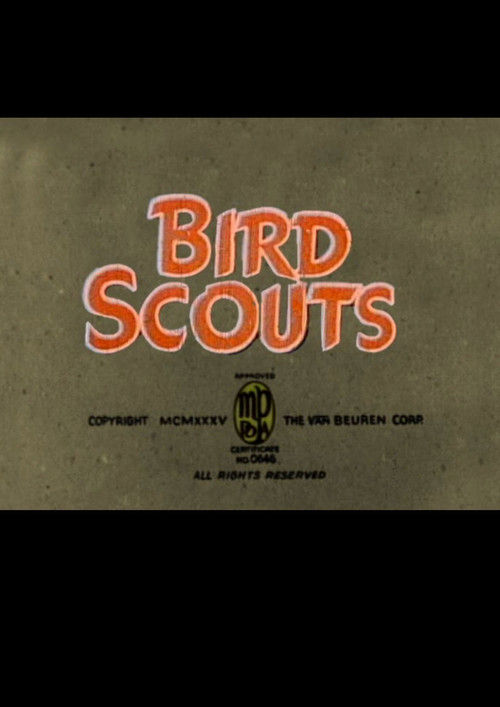 Bird Scouts poster