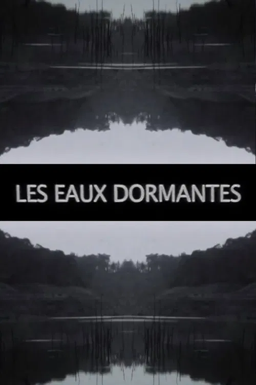 Les Eaux dormantes poster