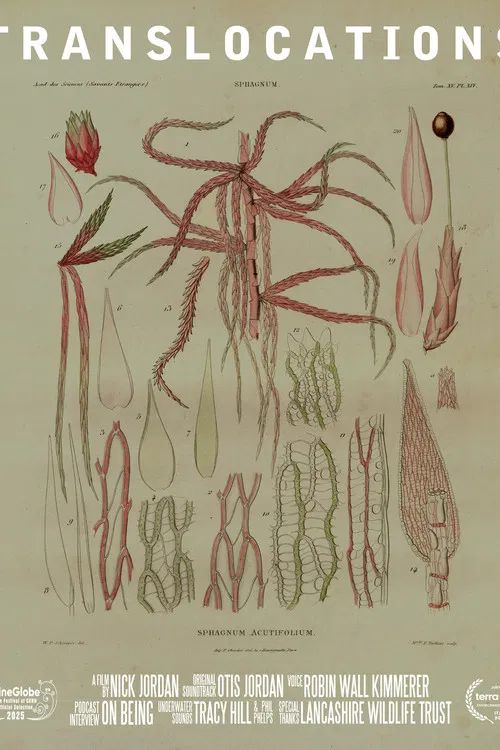 Translocations poster