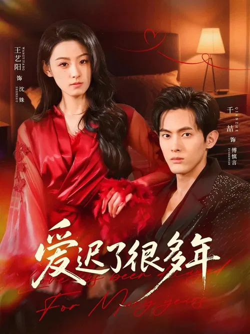 爱迟了很多年 poster