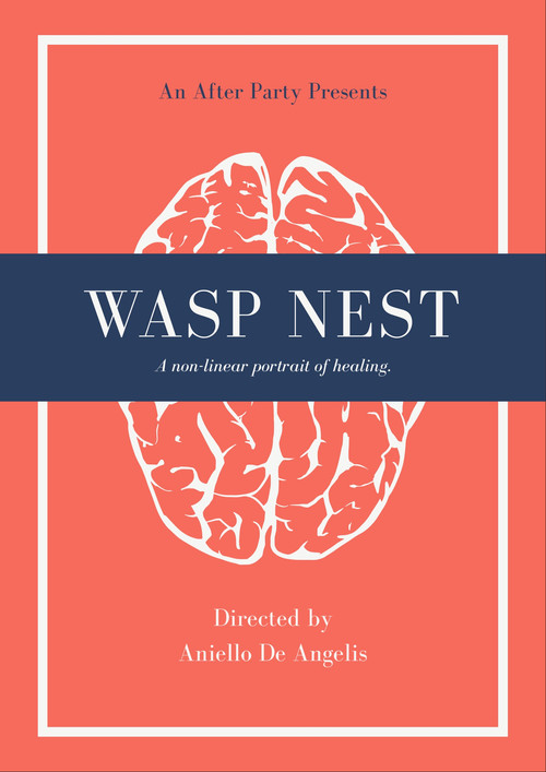 Wasp Nest poster