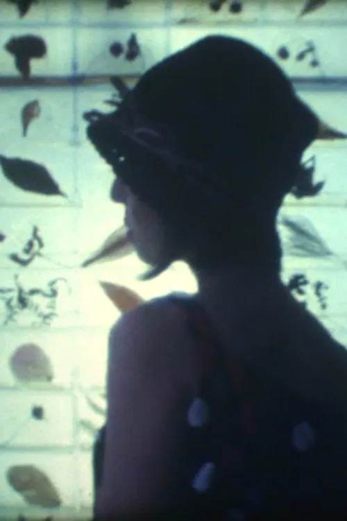 Instant Memory poster