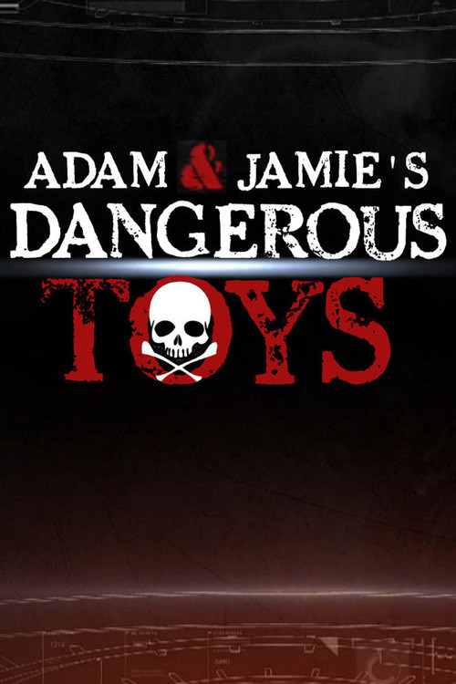 Dangerous Toys poster