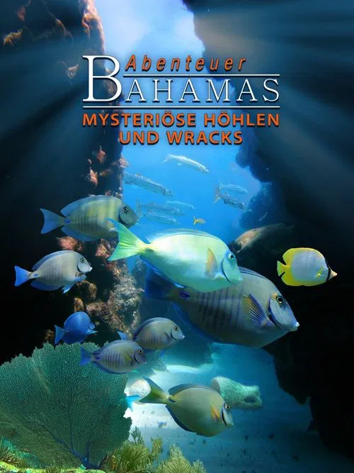 Adventure Bahamas 3D - Mysterious Caves And Wrecks poster